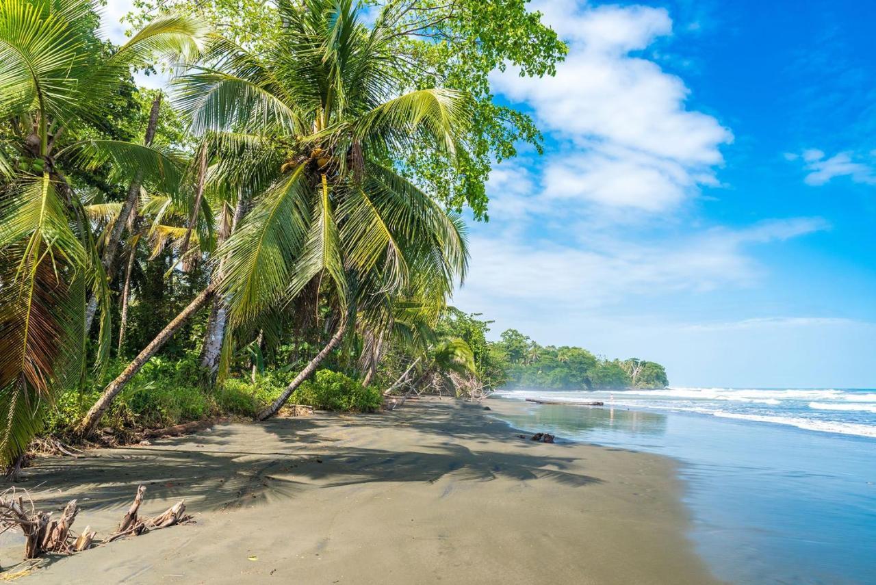 Casa Verde Puerto Viejo de Talamanca Buitenkant foto
